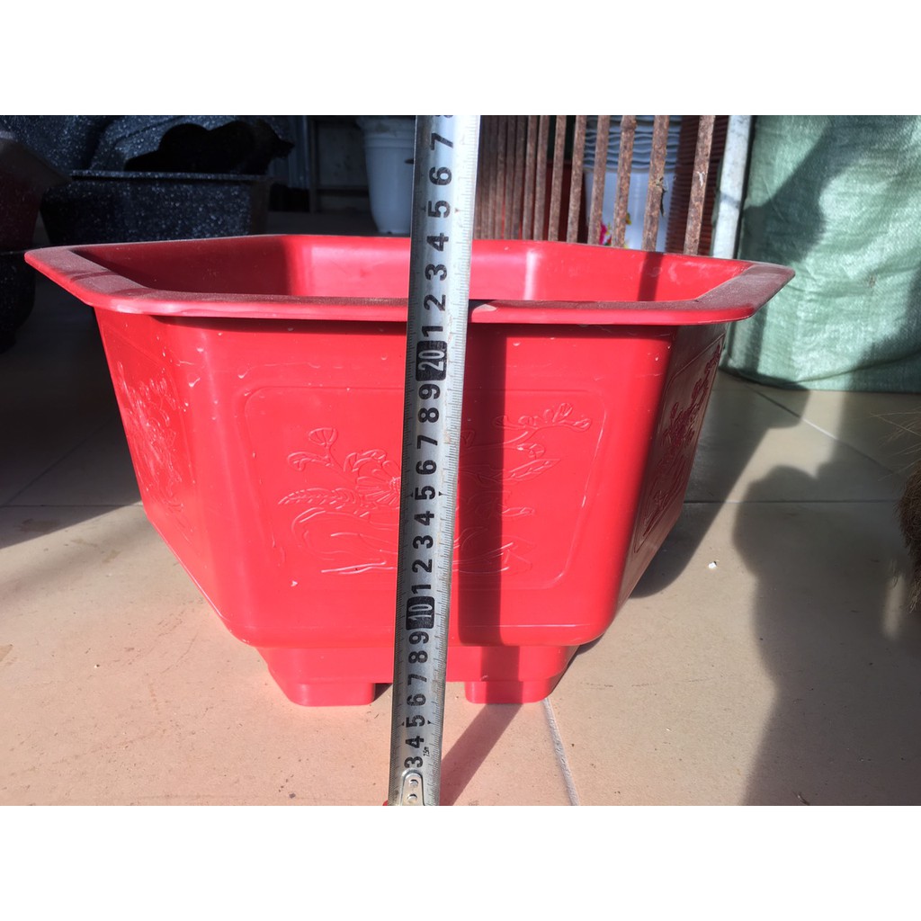 10 chậu nhựa lục giác trồng cây 250x150 - Chậu đẹp bền rẻ chuyên trồng cây cảnh.