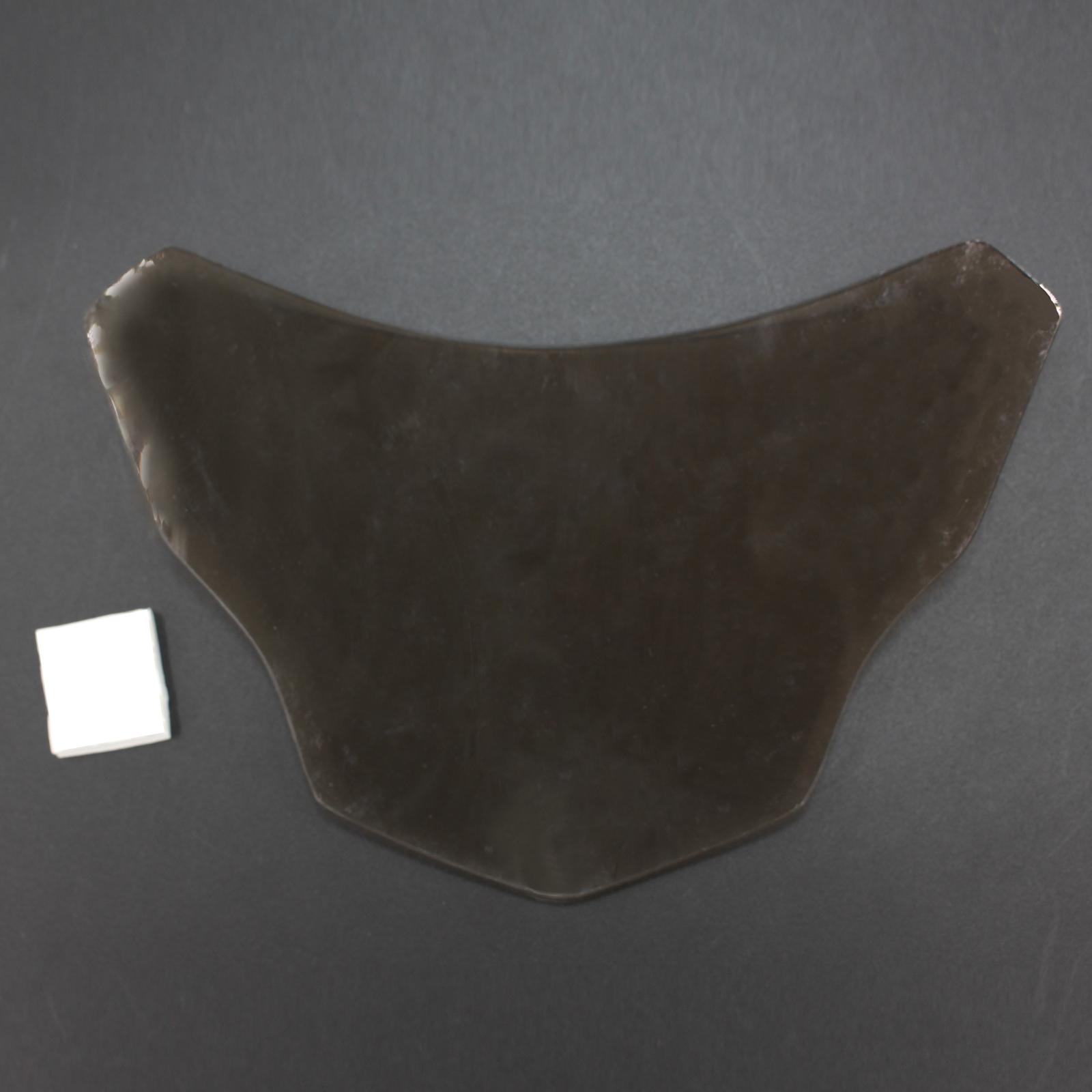 Headlight Screen Protection Guard Cover Fit for BMW G310R G310GS Black