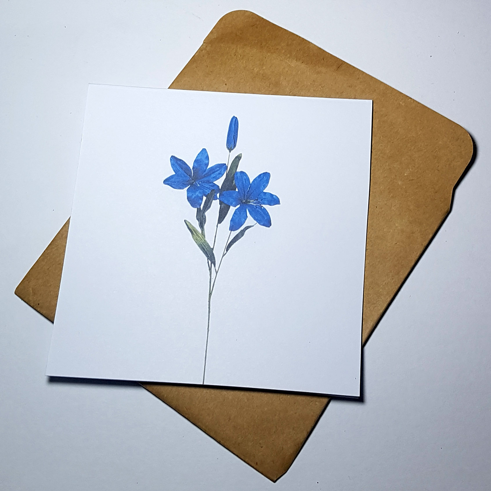 Thiệp phong cách Vintage card quà cám ơn ,chúc mừng sinh nhật và giử tặng người thân yêu