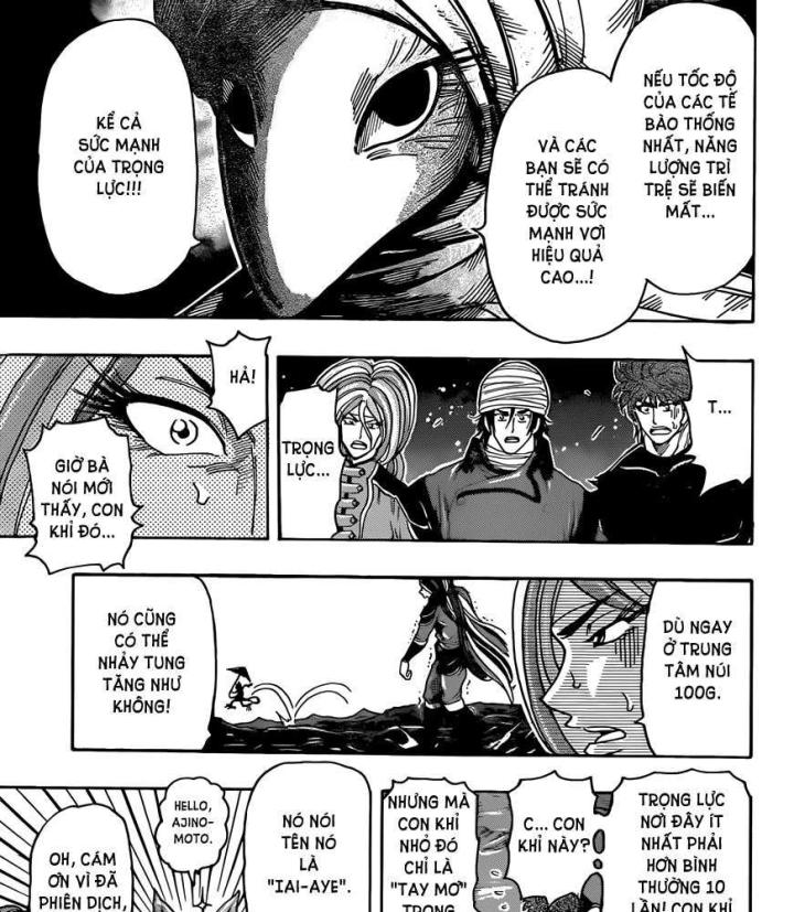 thánh tỏi sành ăn chapter 305 9