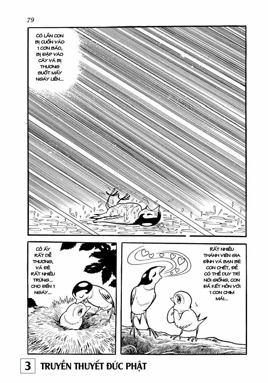 buddha - truyền thuyết đức phật chapter 14 32