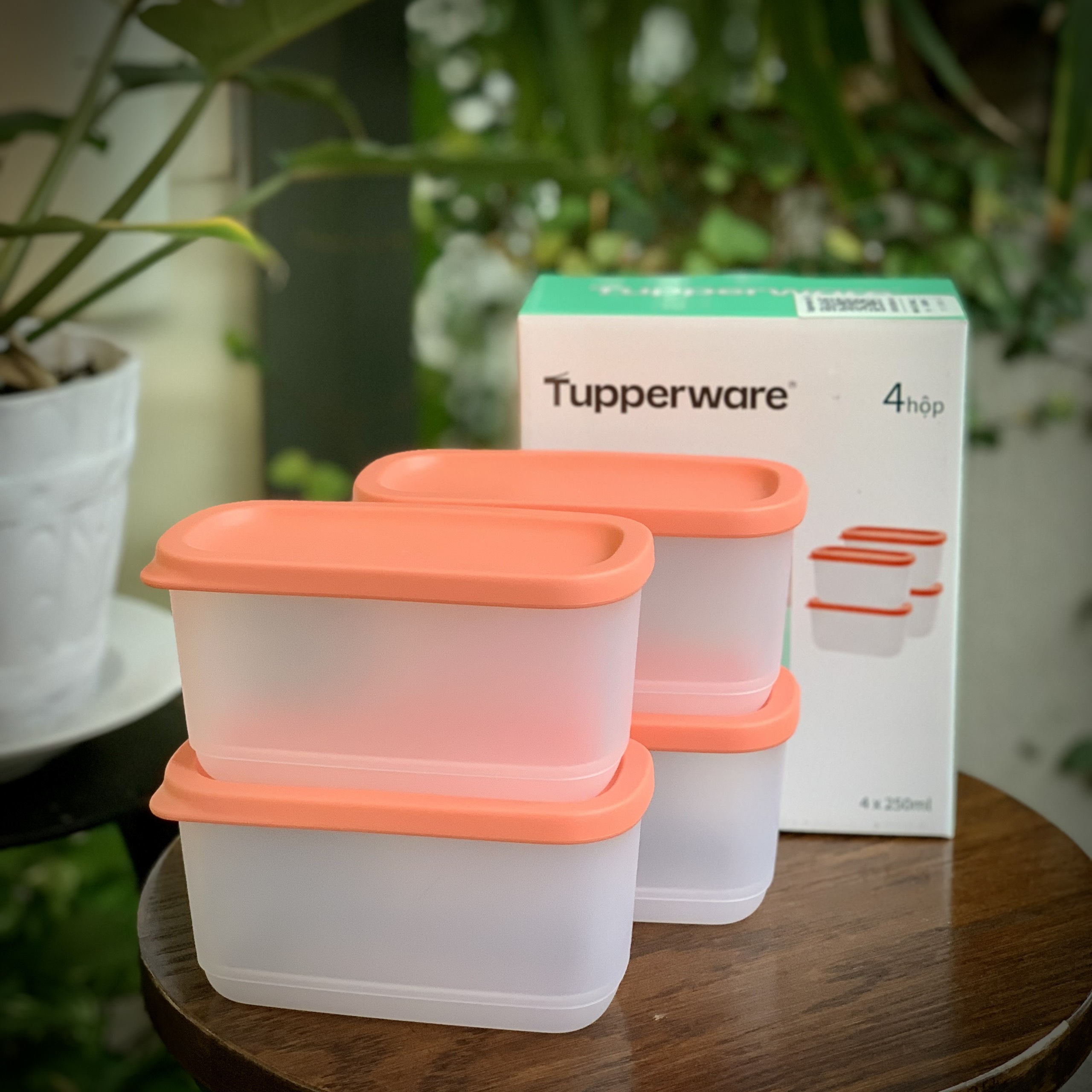 Bộ hộp bảo quản thực phẩm Mini Cubix Rectangular (4)