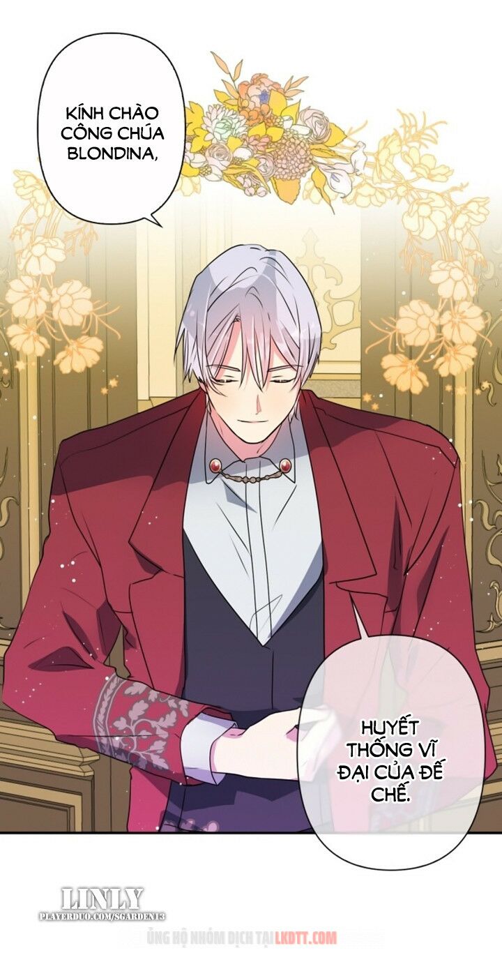 tôi đang nuôi dưỡng một con quái thú chapter 28 41