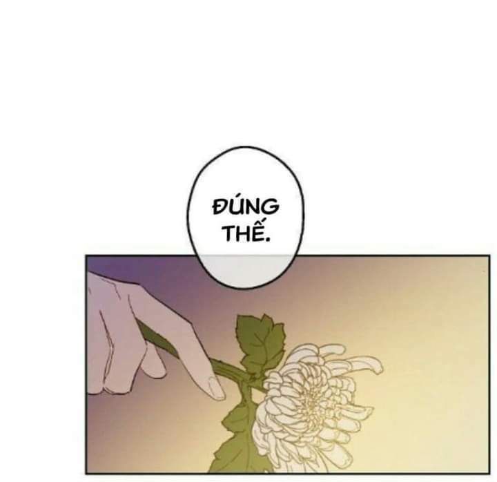 một ngày nọ tôi bỗng thành nàng công chúa chapter 55 37