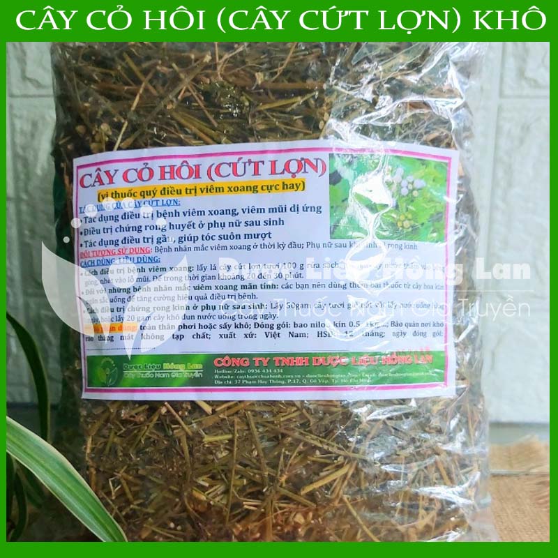 Cây Cỏ Hôi (Cây Cứt Lợn) khô 1kg