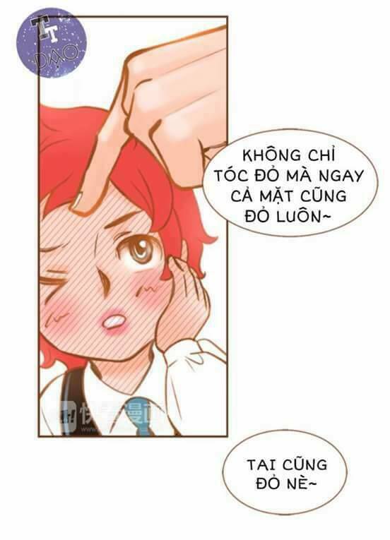 tân lang yếu tòng tiểu dưỡng khởi chapter 4 39