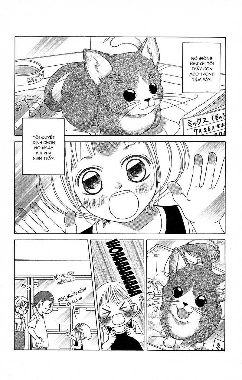 bướm trong sương mù chapter 6 5