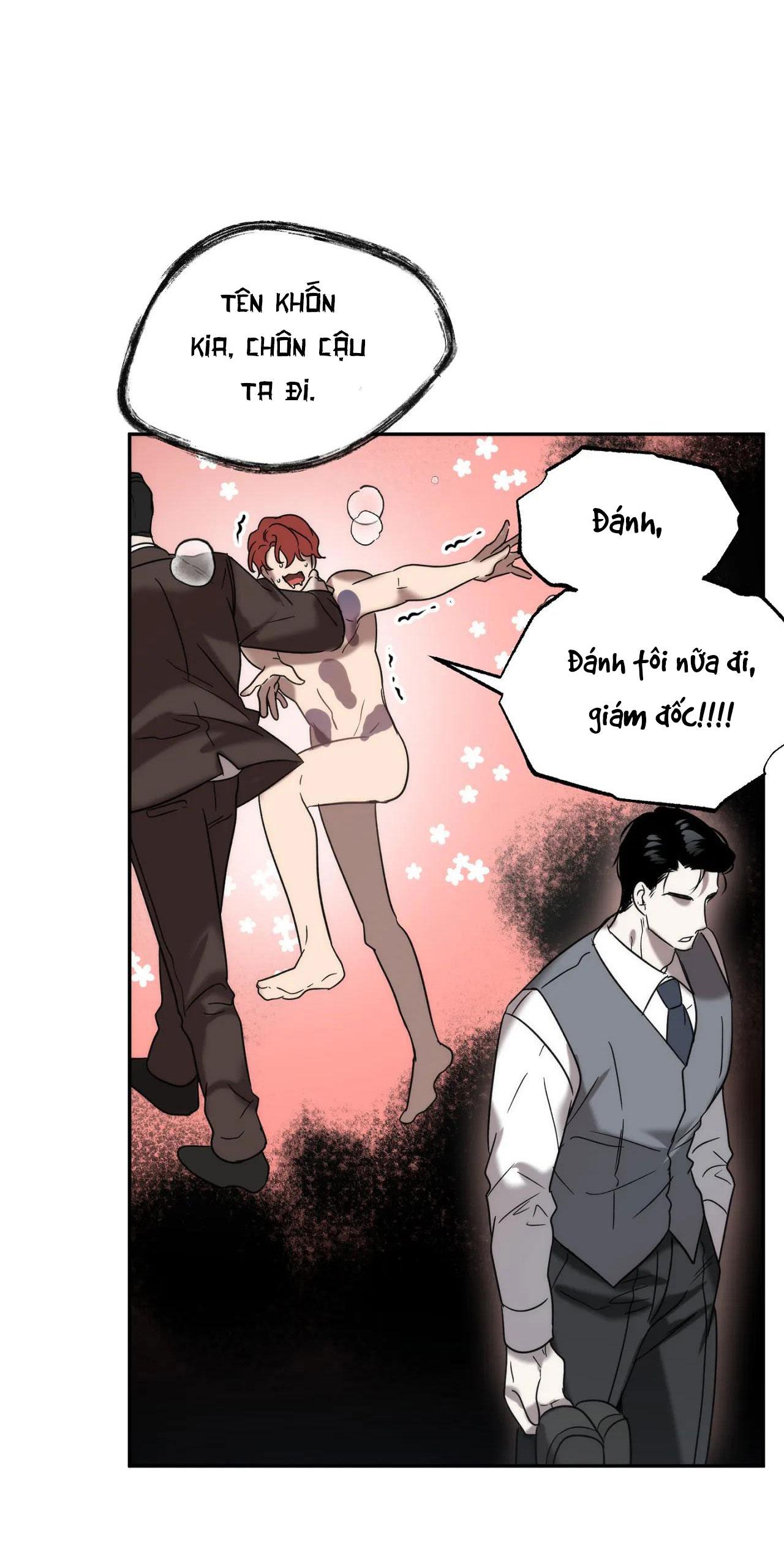 đã hiểu chưa chapter 27 33