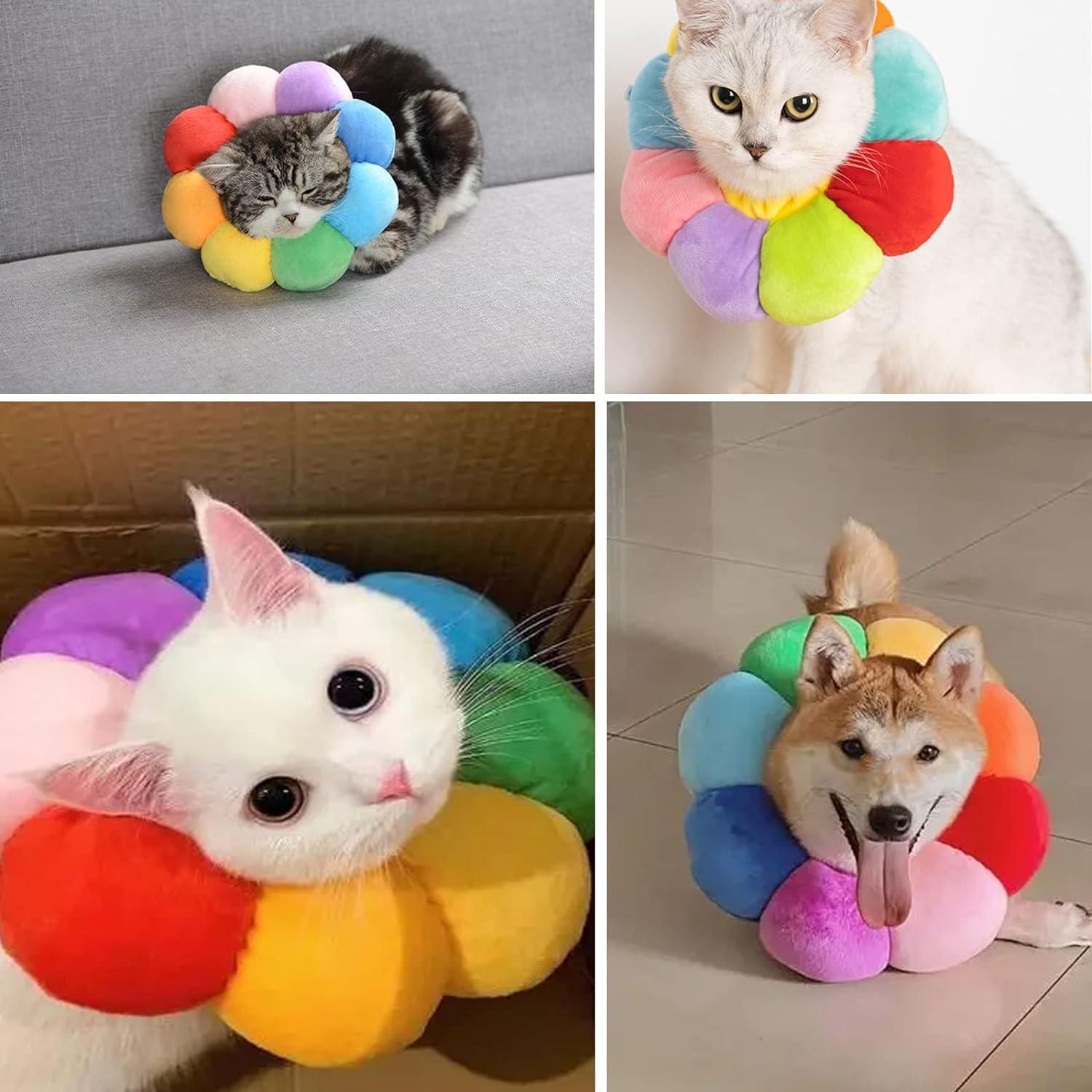 Vòng Cổ Cho Chó Mèo, Chống Cắn Có Thể Điều Chỉnh, Màu Sắc, Cho Chó Mèo Khôi Phục Chống Cắn