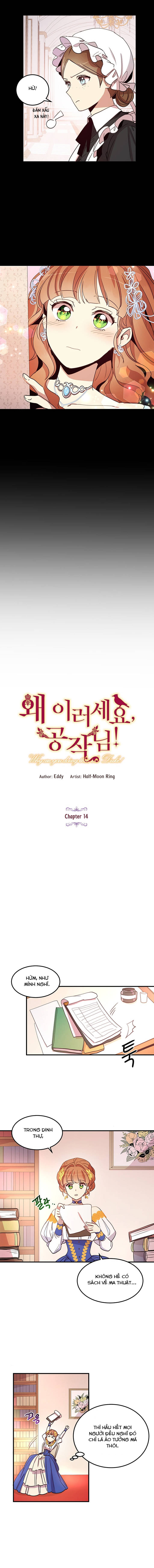 tại sao ngài làm điều này, công tước chapter 14 2