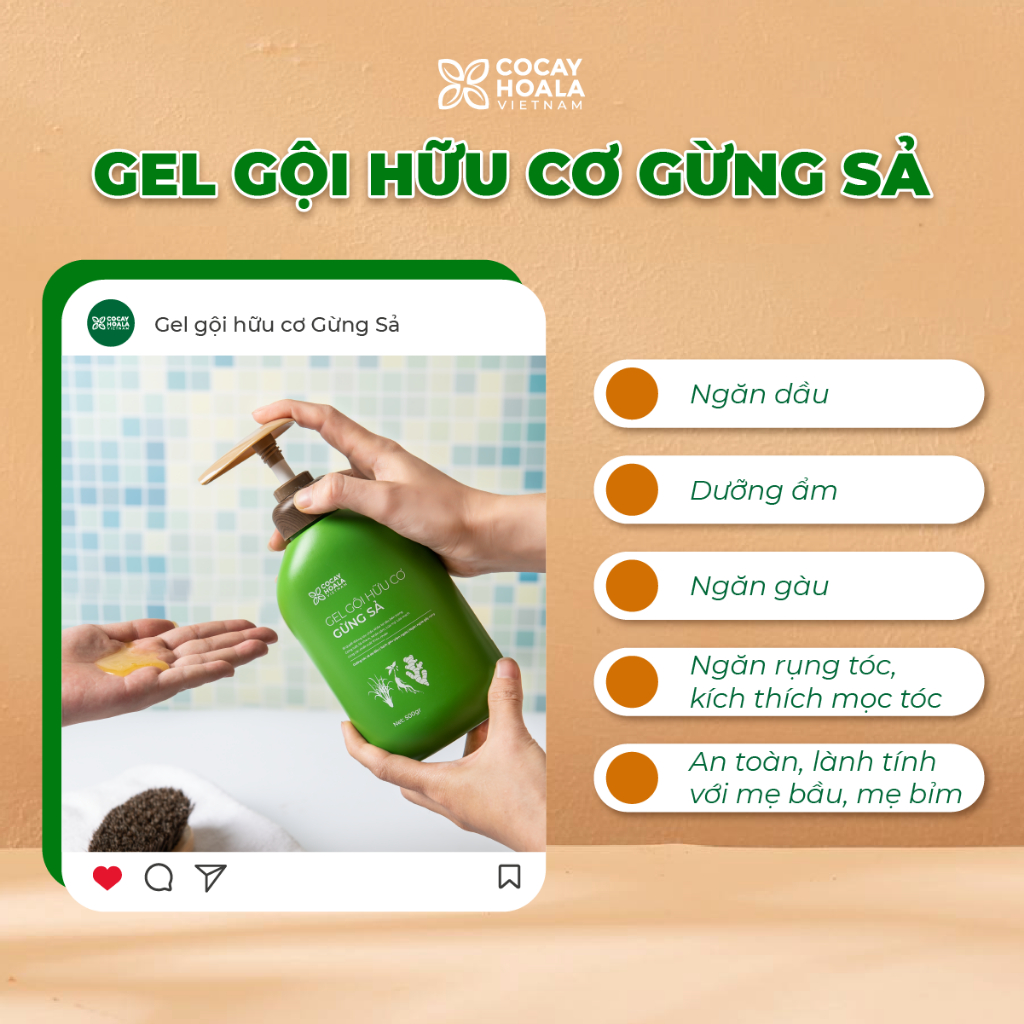 Dầu Gội Xả Hữu Cơ Gừng Sả COCAYHOALA VIETNAM - Ngăn dầu bết tóc và giảm gàu ngứa 30gr