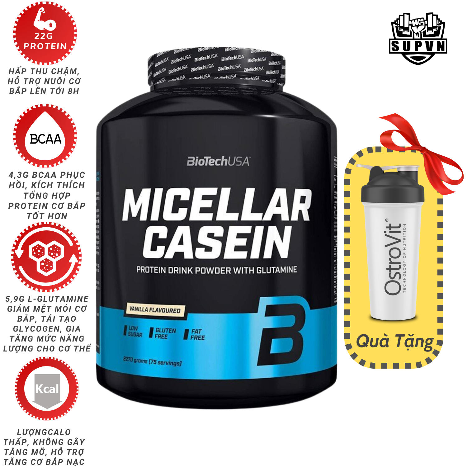 BiotechUSA Micellar Casein 2270 gram (75 Servings)