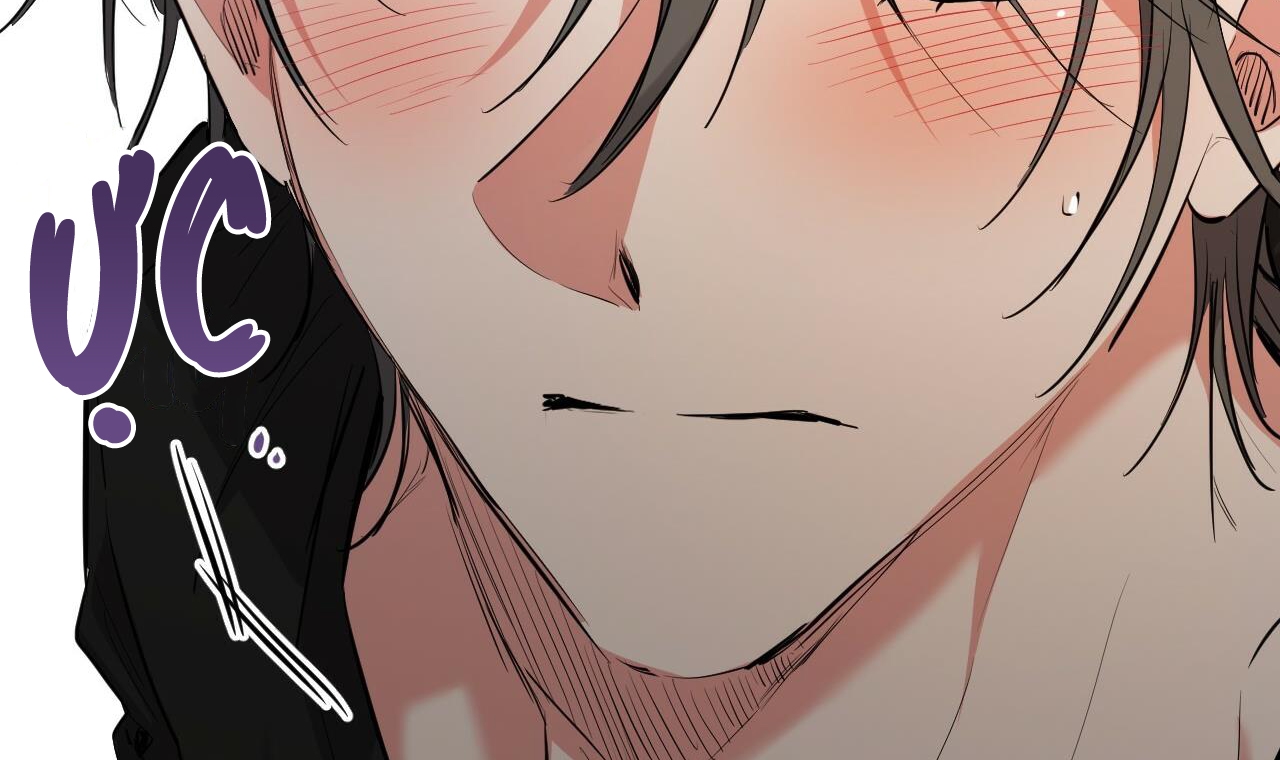 những chú thỏ của hapypy chapter 51 295