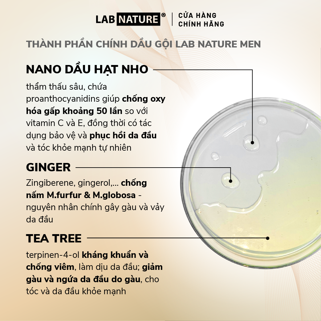 Dầu gội Lab Nature Men Dandruff 470g - Công nghệ Nano Sạch Gàu 2 Lần