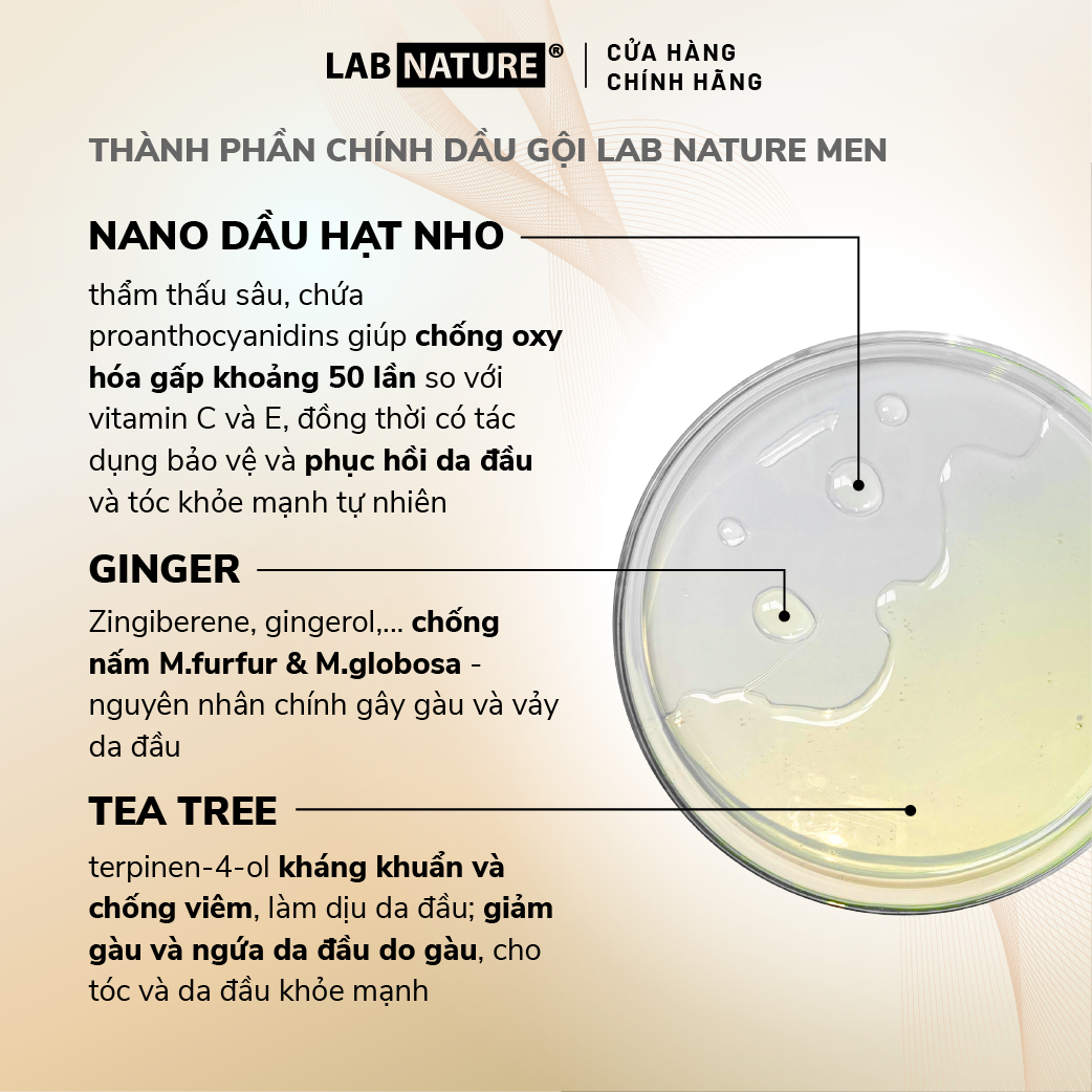 Dầu gội Lab Nature Men Dandruff 260g - Công nghệ Nano Sạch Gàu 2 Lần