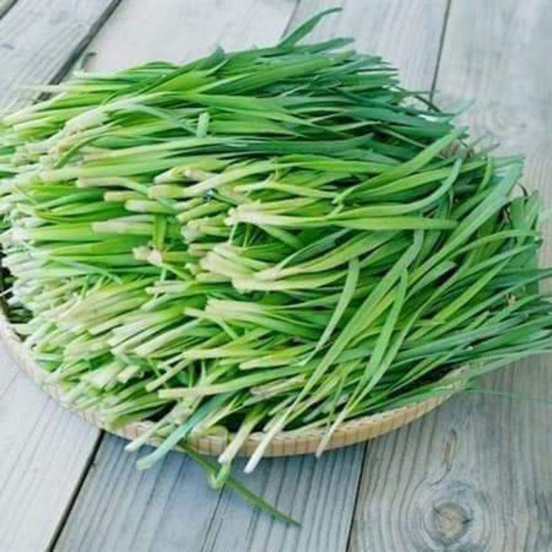 Hạt giống hẹ lá cao sản siêu năng suất Trang Nông 2g