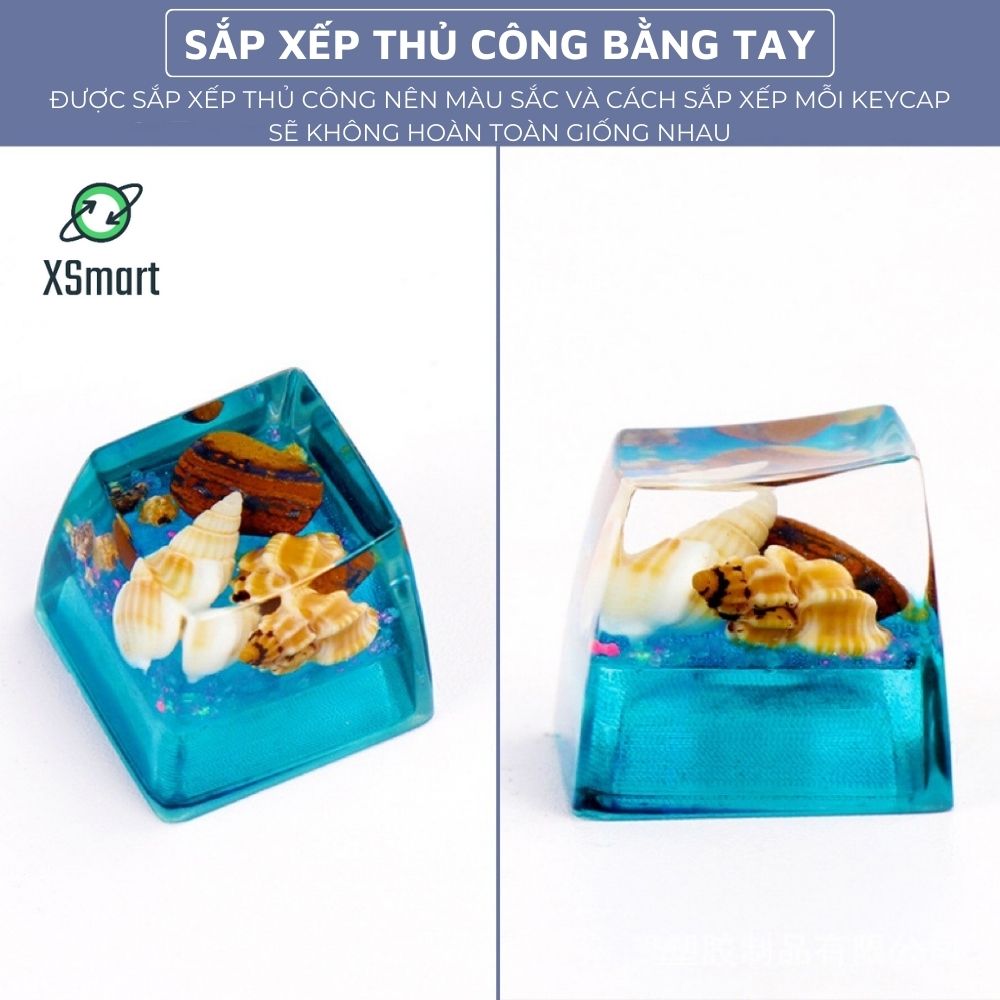 Keycap Nút Bàn Phím Ốc Đại Dương Tự Nhiên Thủ Công Cực Đẹp Nhựa Resin Trong Suốt Xuyên LED-Hàng Chính Hãng