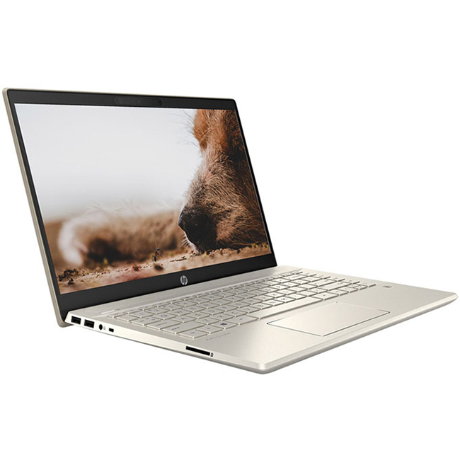 Laptop HP Pavilion 14-dv0008TU 2D7A5PA (Core i5-1135G7/ 8GB DDR4 3200Mhz/ 512GB PCIe NVMe M.2 SSD/ 14 FHD IPS/ Win10 + Office) - Hàng Chính Hãng