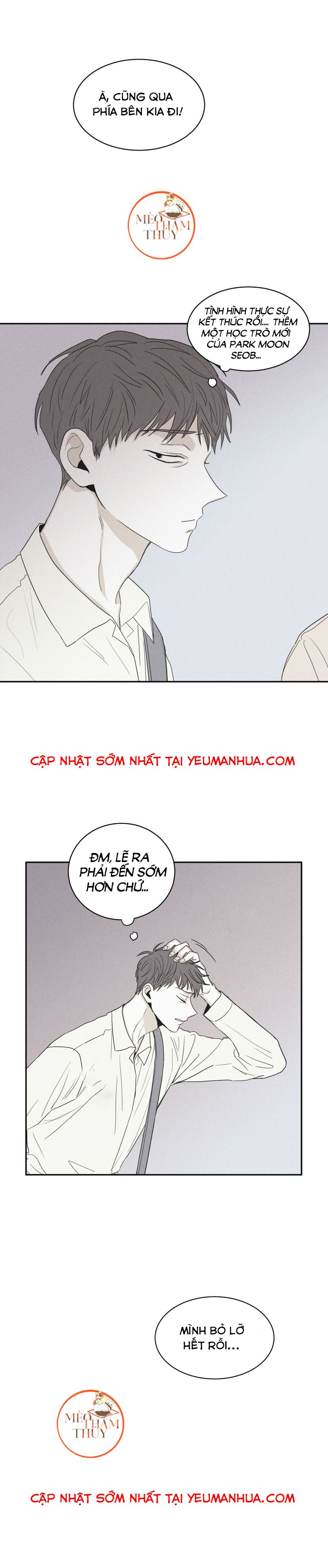 chiếu tướng chapter 41 15