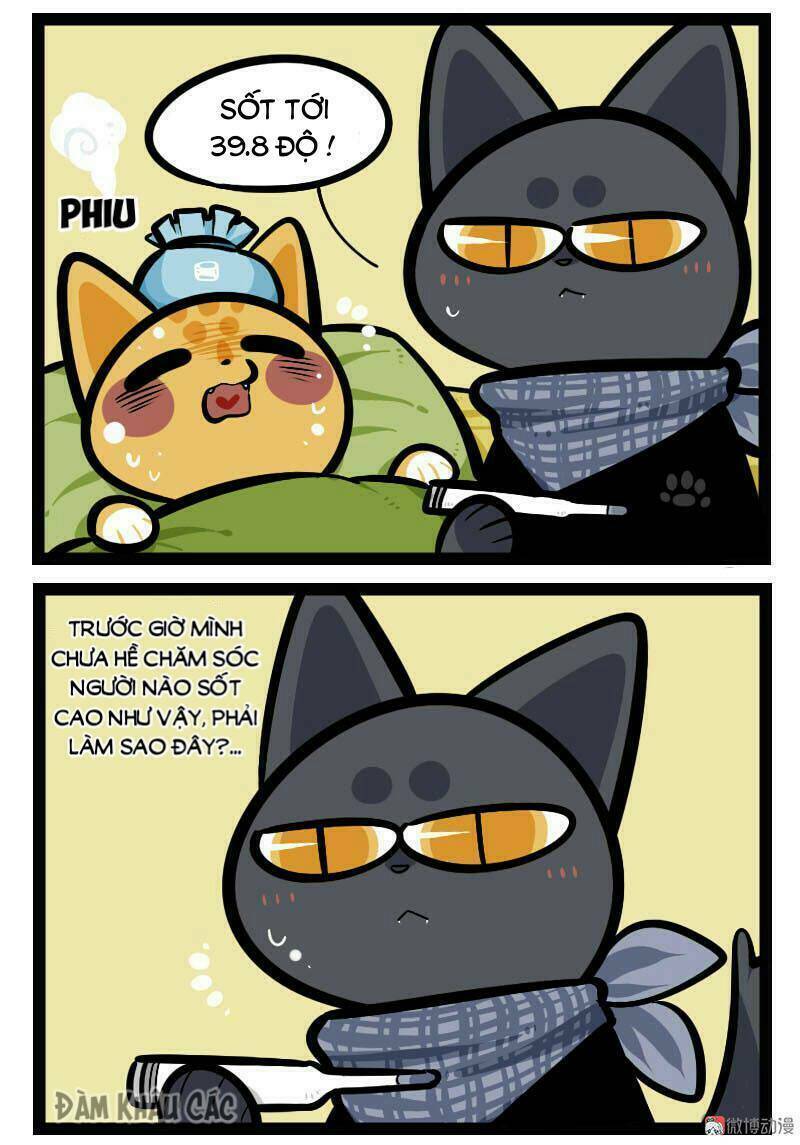 đời không như mình tưởng chapter 57 3