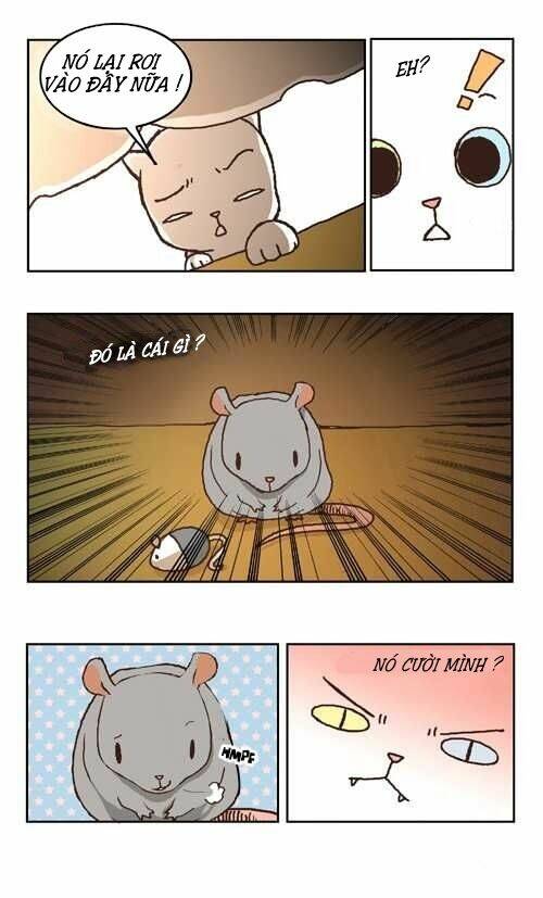 papi nyang chapter 3 10