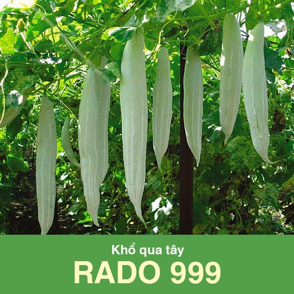 Hạt Giống Khổ Qua Tây Rado 999  Sai Trái, Giàu Dinh Dưỡng 2gr - Trái dài 20cm, nhiều trái