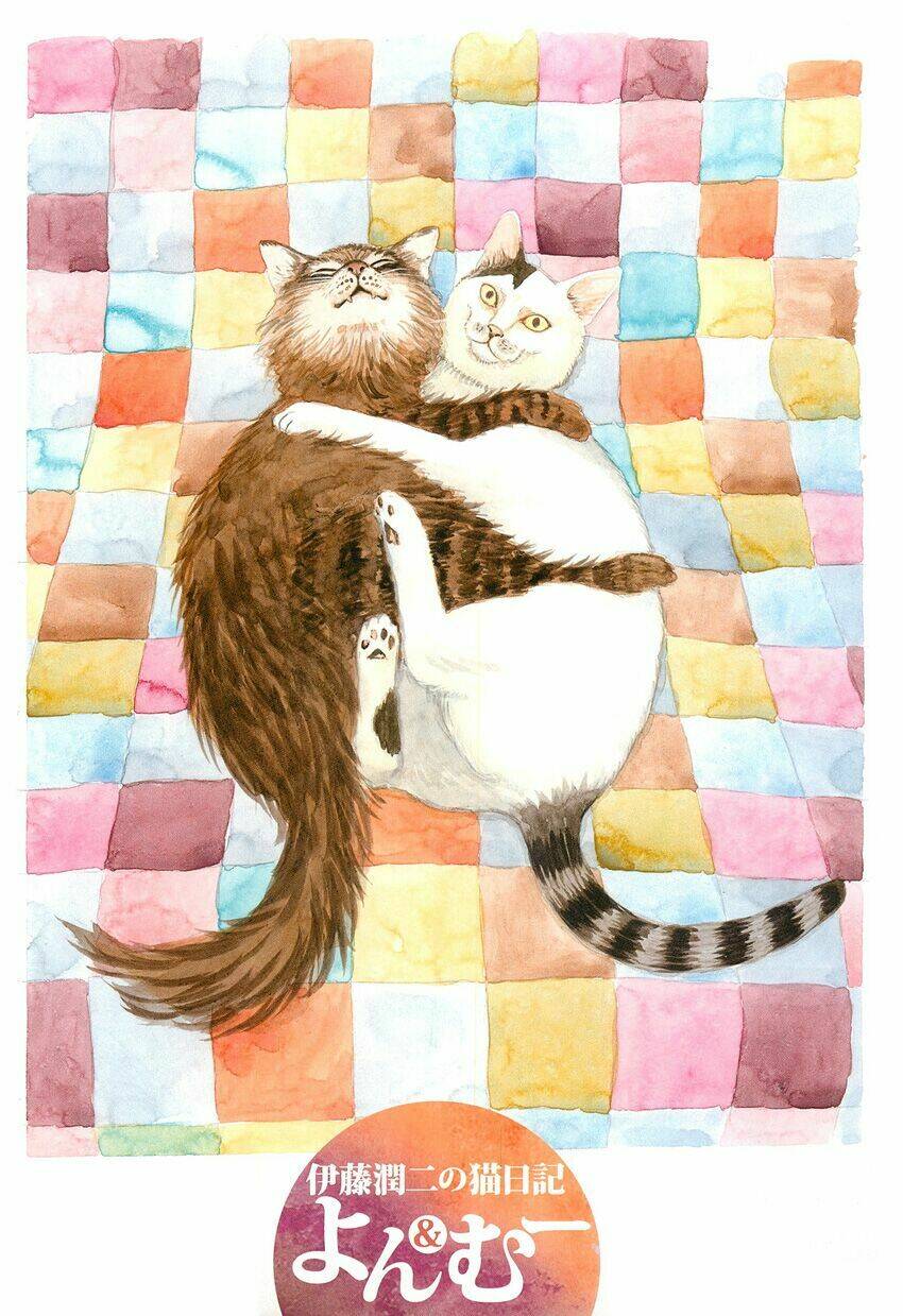 ito junji cat's diary chapter 1 5