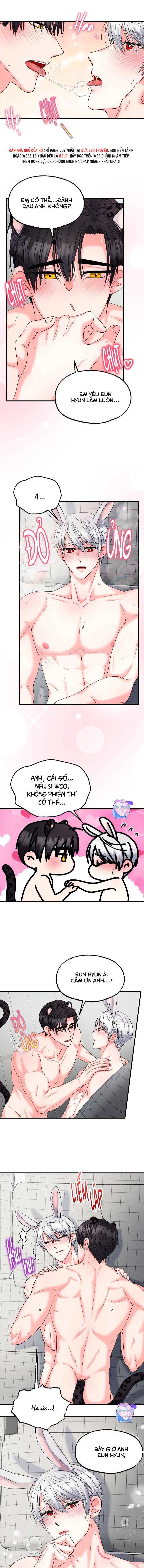 đây là chú thỏ mà bạn (không) đã đặt hàng chapter 25 9