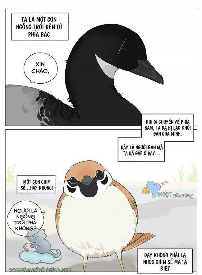 chim sẻ gọi ngỗng trời chapter 9 2