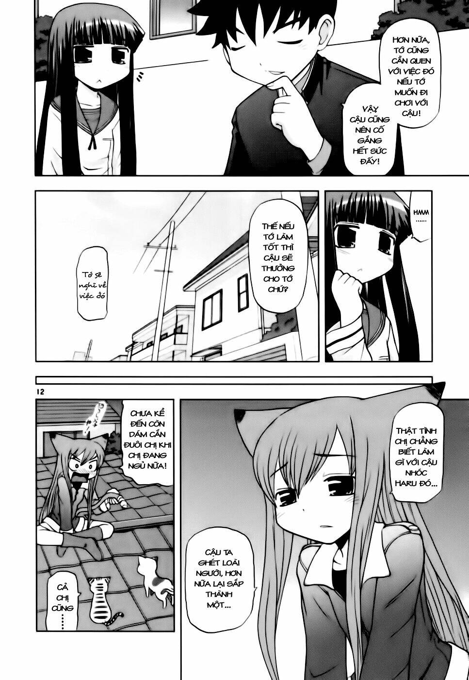 koi neko chapter 41 12