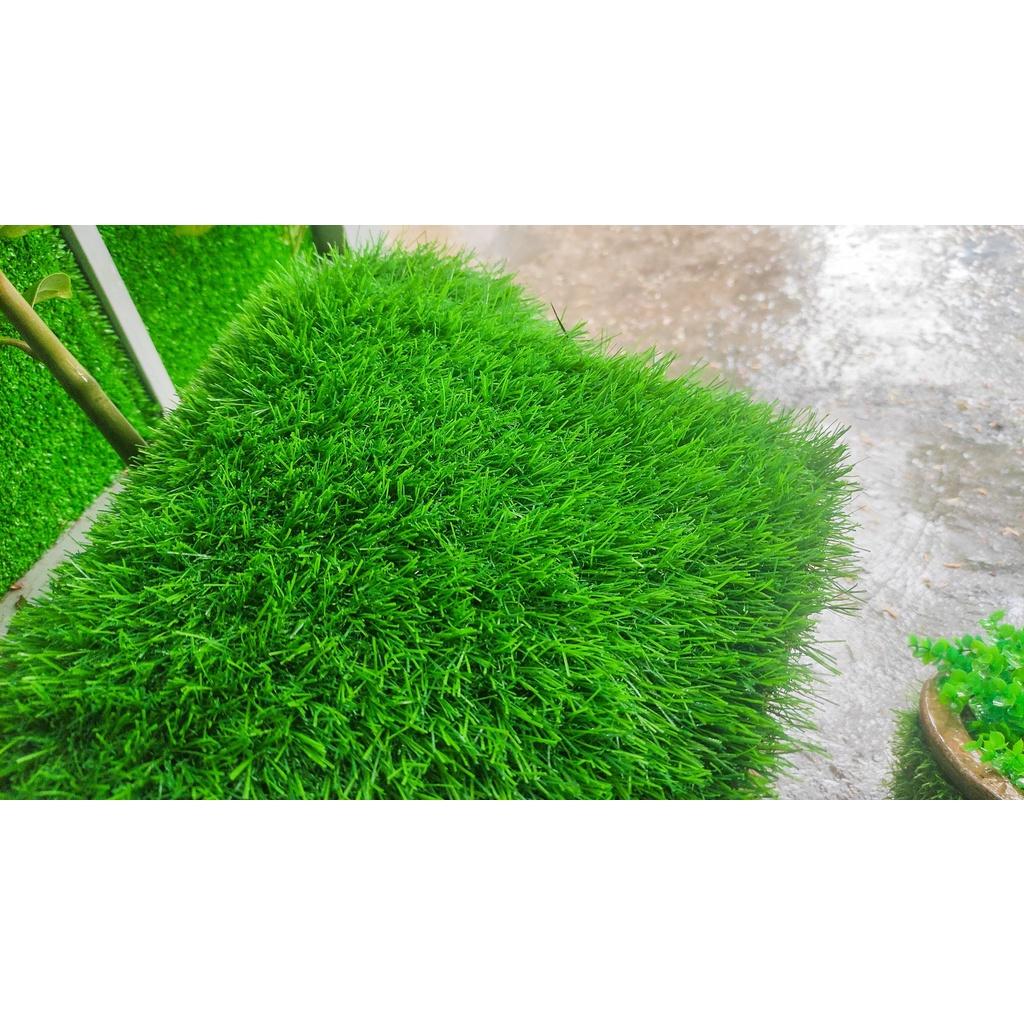 Thảm cỏ nhân tạo giá rẻ, thảm cỏ trang trí, cỏ 3cm loại Cao Cấp ( Giao Hỏa Tốc)