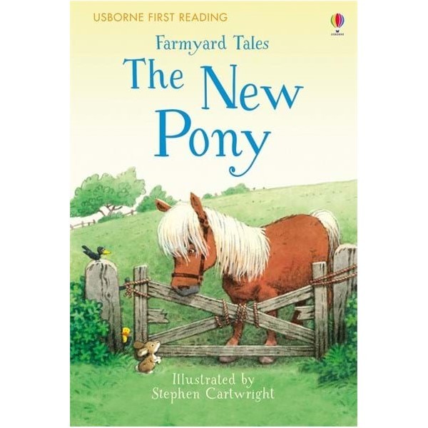 Usborne The New Pony