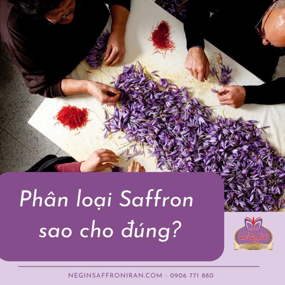 Nhụy hoa nghệ tây Tashrifat Saffron loại chuẩn Negin (1 Grams)