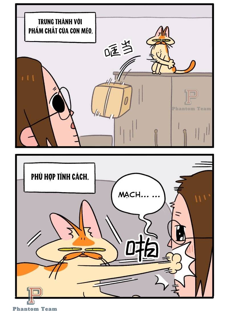 a mãn và mạch trà chapter 2 4