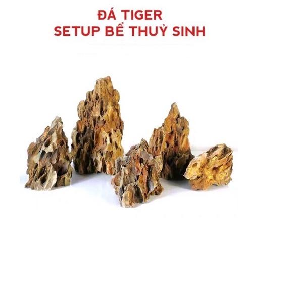 1kg Đá Tiger - Set up hồ thủy sinh