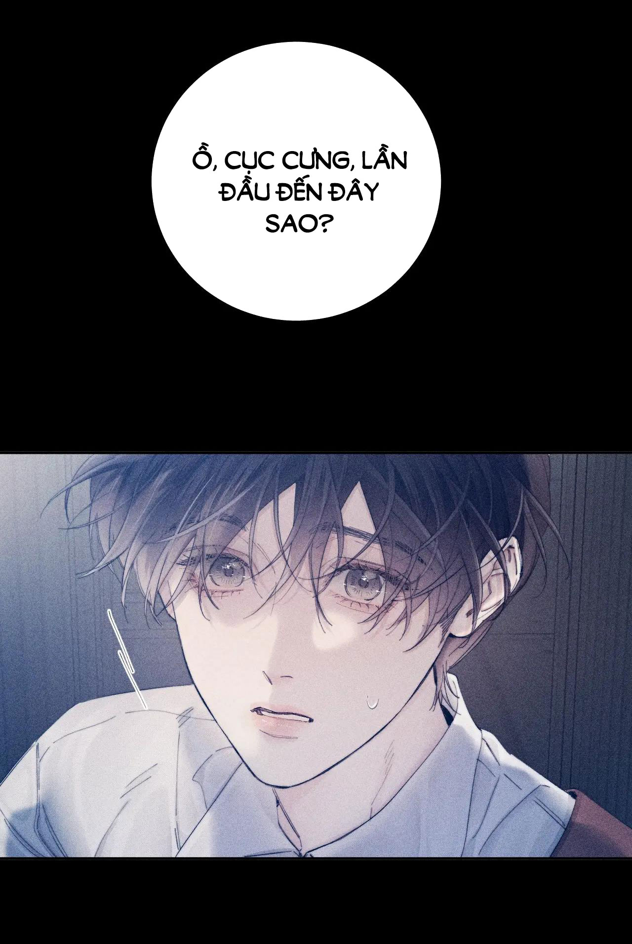 cây nấm nhỏ chapter 13.1 5