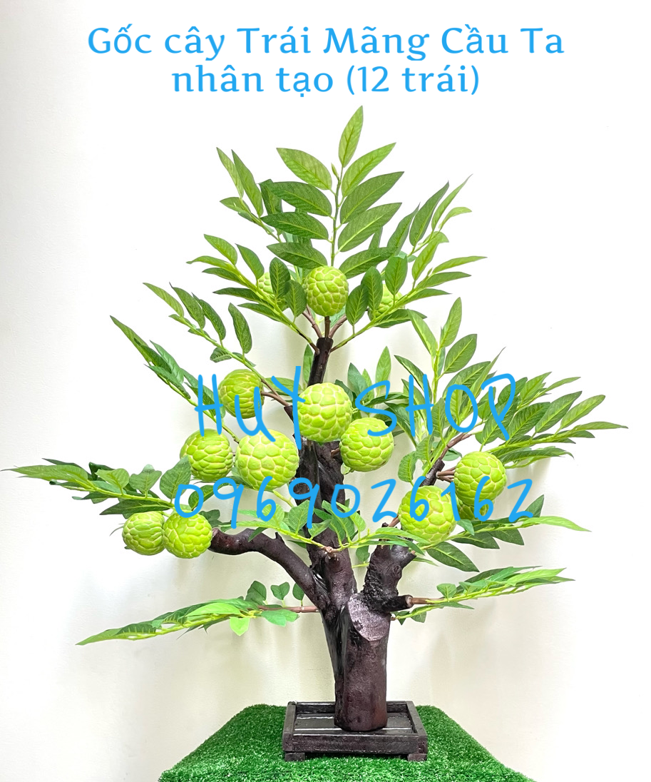 Gốc cây Trái MÃNG CẦU TA nhân tạo trang trí nhà cửa