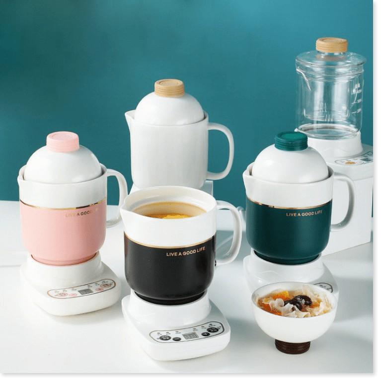 Ceramic Healthy Tách Sứ Chưng Yến, Nấu Canh, Trà...