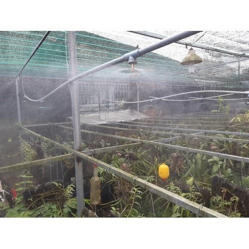 ỐNG PE 6mm CHUYÊN DÙNG TRONG HỆ THỐNG TƯỚI