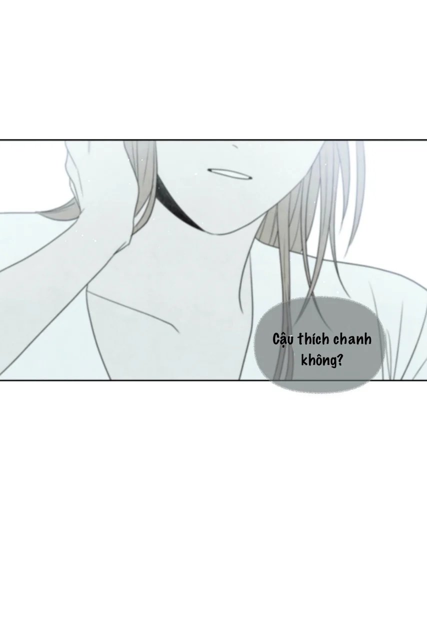 summer solstice point chapter 11 51