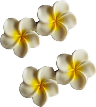 Sét 2 kẹp tóc đính 2 bống sứ dễ thương KAH134