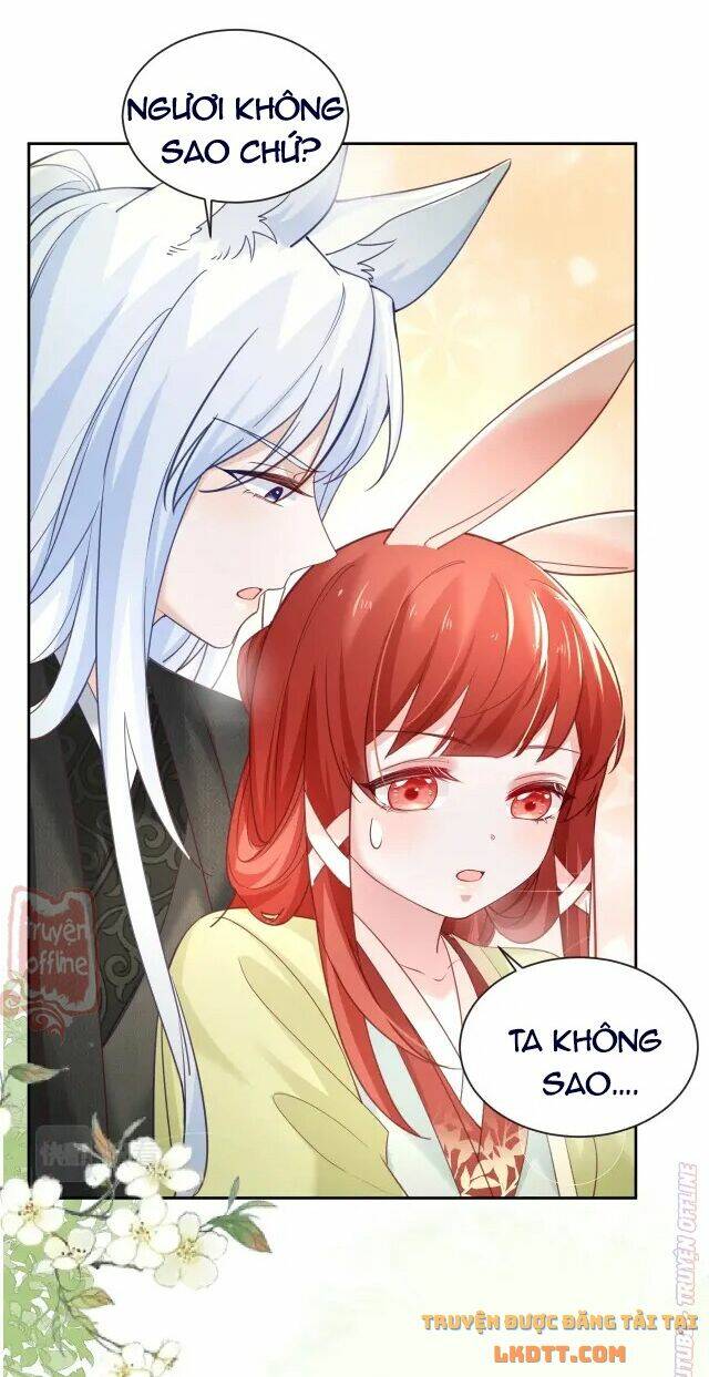 hắc hóa nam chính trực tuyến nuôi thỏ chapter 49 10