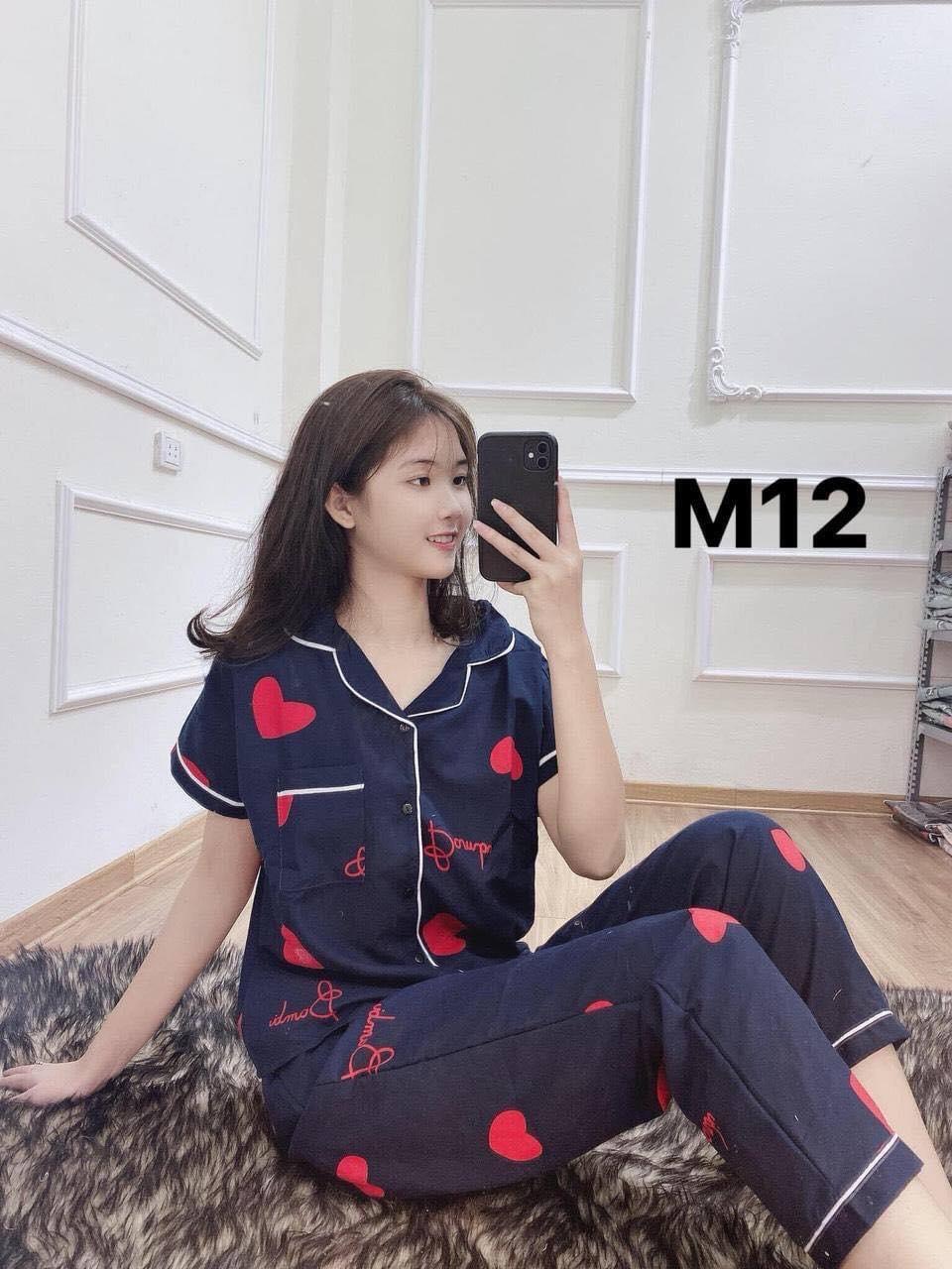Bộ pizama cao cấp nữ - freesize - giao màu ngẫu nhiên - MSP27022021