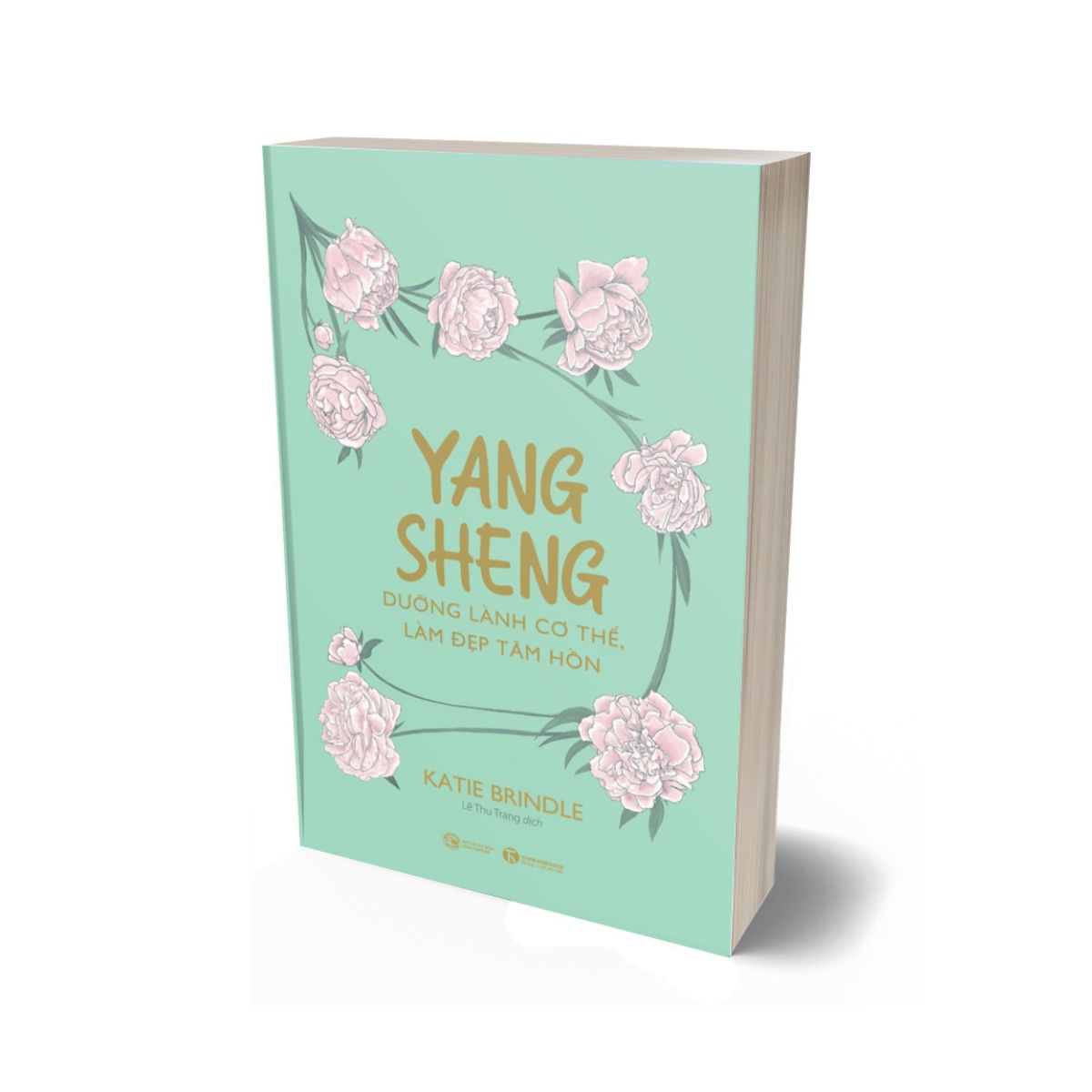 Yang Sheng - Dưỡng Lành Cơ Thể, Làm Đẹp Tâm Hồn