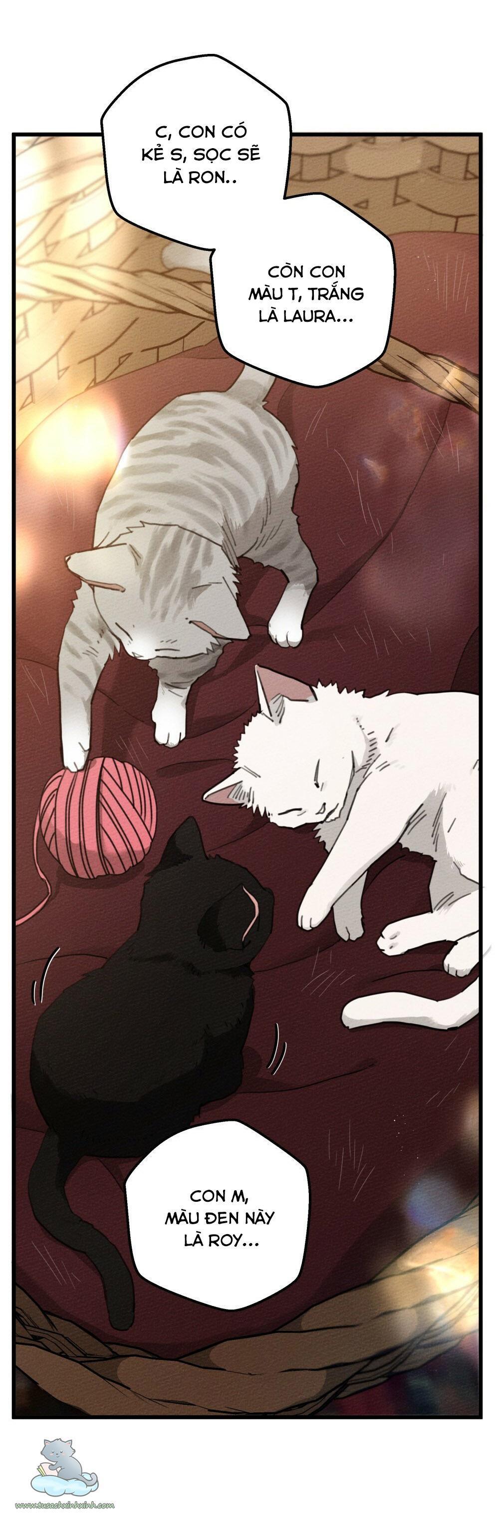 dưới tán cây sồi chapter 46 55