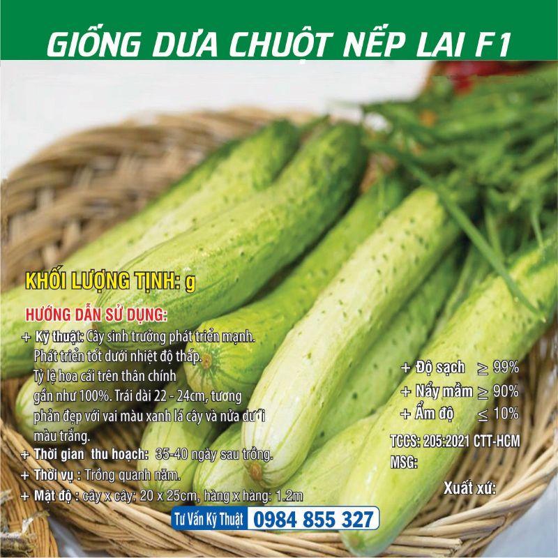 Dưa Chuột Nếp