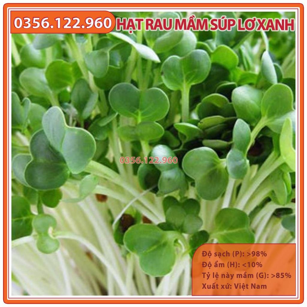 Hạt rau mầm rau súp lơ xanh - gói 20g