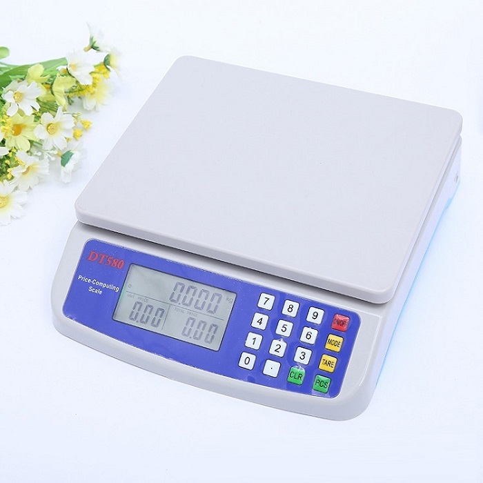 Cân điện tử tính tiền 30kg/1g DT-580