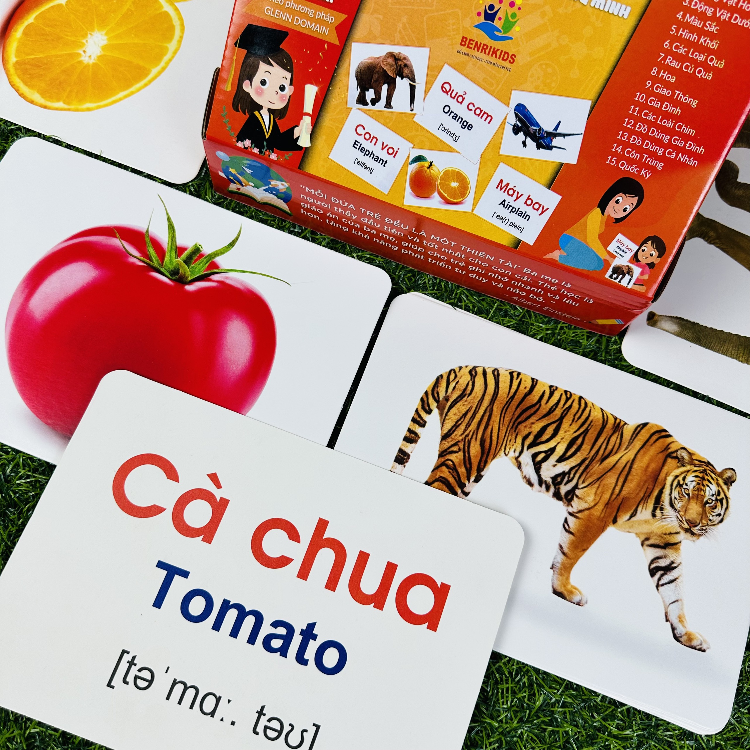 Thẻ Học Thông Minh FlashCard Cho Bé Từ 0 Đến 3 Tuổi Kích Thước Thẻ Lớn 15x21Cm Chống Lóa Không Thấm Nước 100 Thẻ 15 Chủ Đề