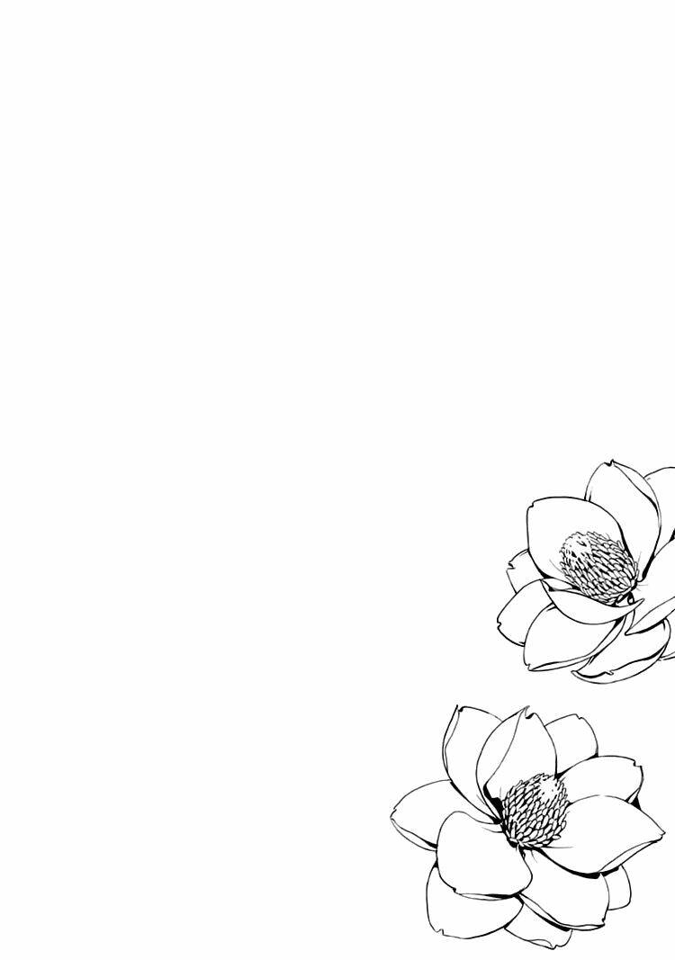 magnolia chapter 3 5